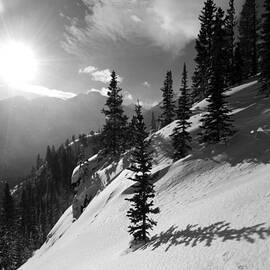 Colorado Winter Shadows by Cascade Colors
