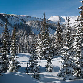 Colorado Winter Landscape by Cascade Colors