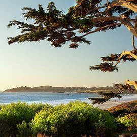 Colorful Beachfront In Carmel-by-the-sea by Pgiam