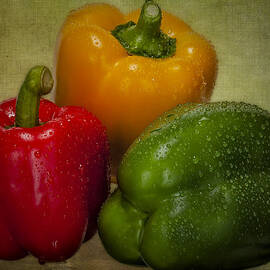 Colorful Bell Peppers by Susan Candelario