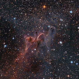 Cometary Globules Cg 303138 In The by Robert Gendler stocktrek Images