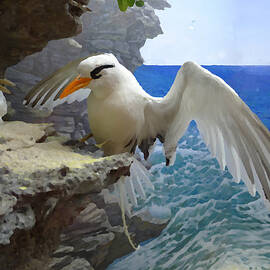 Coming Home by Richard Reeve