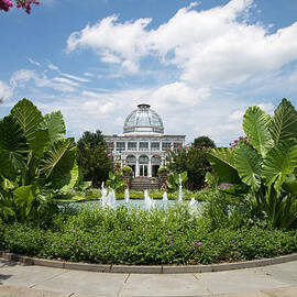 Conservatory by Stacy Abbott