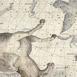 Constellation of Pegasus by James Thornhill