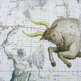 Constellation of Taurus by James Thornhill