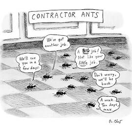 Contractor Ants Are Leaving A House. Ants' Speech by Roz Chast