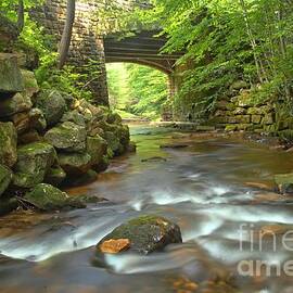 Cook Forest Stream Under The Bridge by Adam Jewell