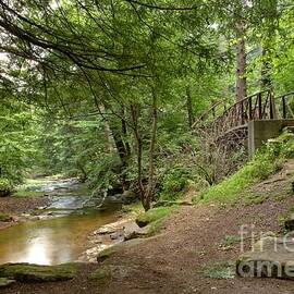 Cook Forest Toms Run Steps by Adam Jewell