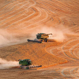 Cooperation by Mary Jo Allen