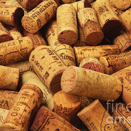 Corks by Stefano Senise