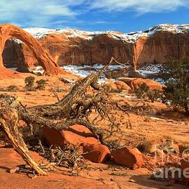 Corona Canyon by Adam Jewell