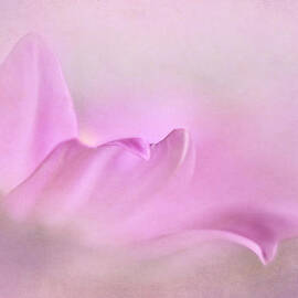 Cosmos Abstract II by David Kelly