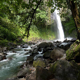 Costa Rica Waterfall and Forest by Cascade Colors