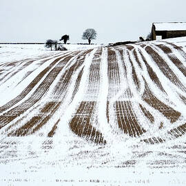 Cotswold Landscape In Winter by Andrew Lockie