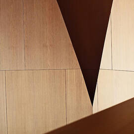 Counterpoint by Rona Black