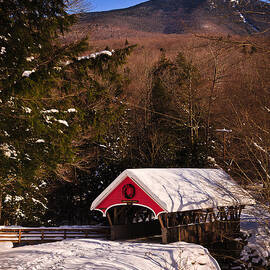 Covered Bridge Over The Pemigewasset Flume Gorge by Jeff Sinon