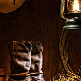 Cowboy Boots at the Ranch by Olivier Le Queinec