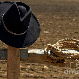 Cowboy Hat and Rope on Fence by Olivier Le Queinec