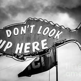 Crab Cooker Sign Newport Beach Picture by Paul Velgos