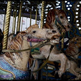 Crazy Horses 1 by Richard Reeve