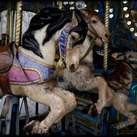 Crazy Horses 2 by Richard Reeve