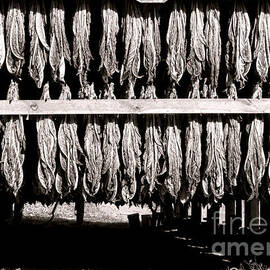 Crop by Olivier Le Queinec