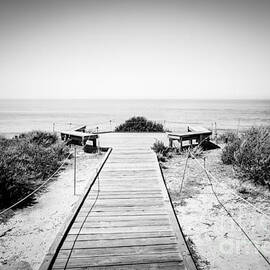 Crystal Cove Overlook Black and White Picture by Paul Velgos