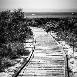 Crystal Cove Wooden Walkway in Black and White by Paul Velgos