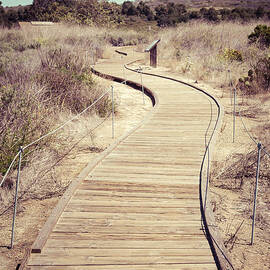Crystal Cove Wooden Walkway Vintage Photo by Paul Velgos