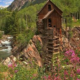 Crystal Mill Wildflowers by Adam Jewell