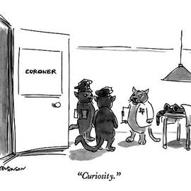 Curiosity by James Stevenson