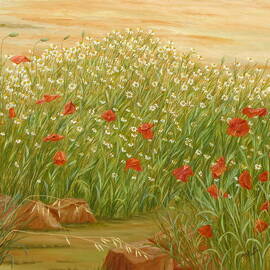 Daisies And Poppies by Angeles M Pomata