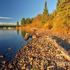 Daisy Farm Beach by Adam Jewell