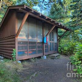 Daisy Farm Shelter by Adam Jewell