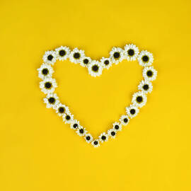 Daisy Heart by Juj Winn