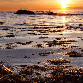 Dancing On The Tide by Jeff Sinon