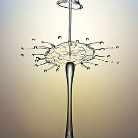 Dancing Water Drops by Susan Candelario