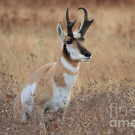 Danger by Adam Jewell