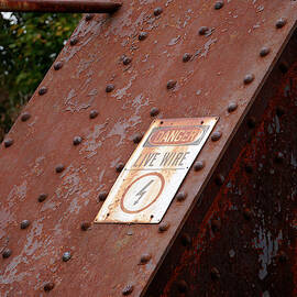 Danger Live Wire by Richard Reeve