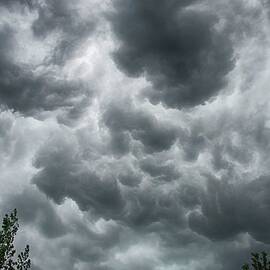 Dark & Light Storm Clouds Above Trees by Lynn.h.armstrong Photography