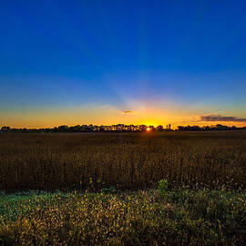 Dawn of a New Day by Adam Mateo Fierro