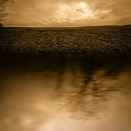 December Sky by Bob Orsillo Studio d'artista