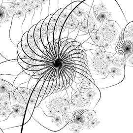 Delicato by Vic Eberly