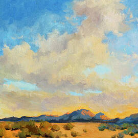 Desert Clouds by Diane McClary
