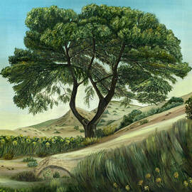 Desert Pine by Angeles M Pomata