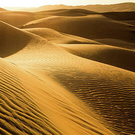 Desert Sun Rise by Foggyimages