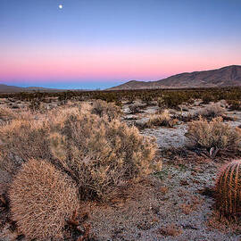 Desert Twilight by Peter Tellone