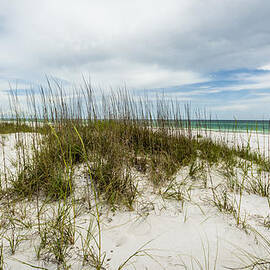 Deserted Beach by David Morefield
