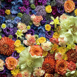 Detail Of Cut Flowers by Jonathan Knowles