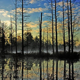 Devils Den in The Pine Barrens by Louis Dallara